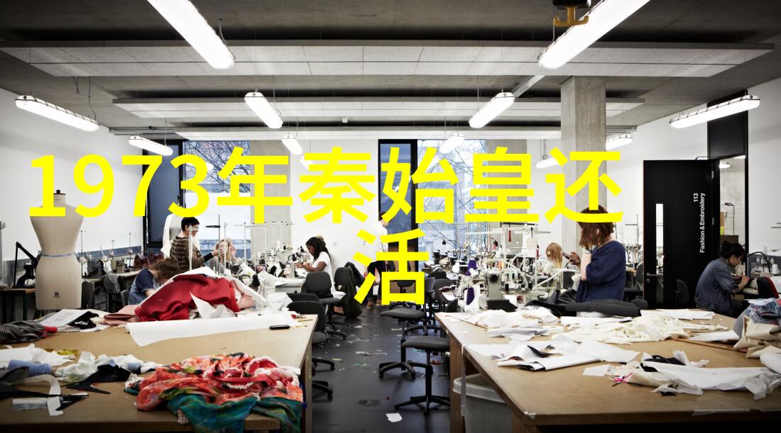 体验中华古韵探索世界各地关于49式的文化影响