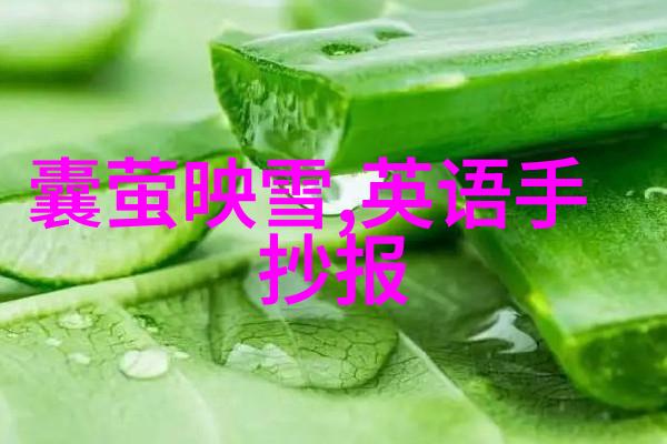 古代智慧的传承者孔子的教诲与时代的光芒
