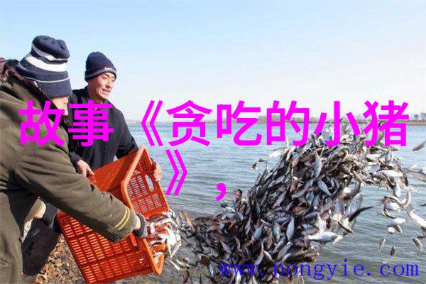 火箭少女101美丽变身火箭少女101的魅力转换
