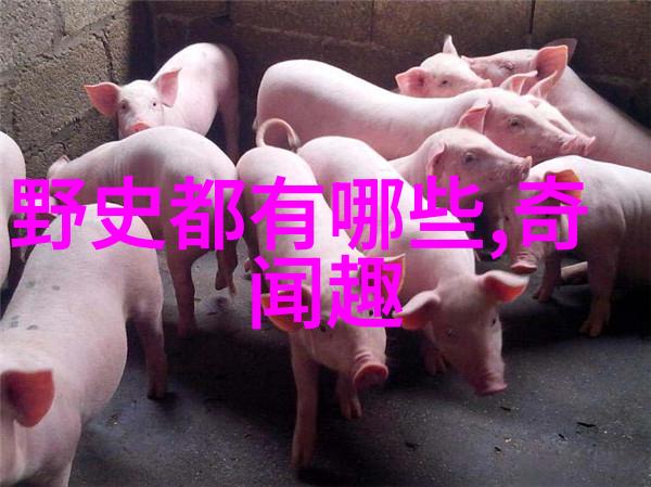 明朝人口最多的秘密一场庞大的人口盛宴