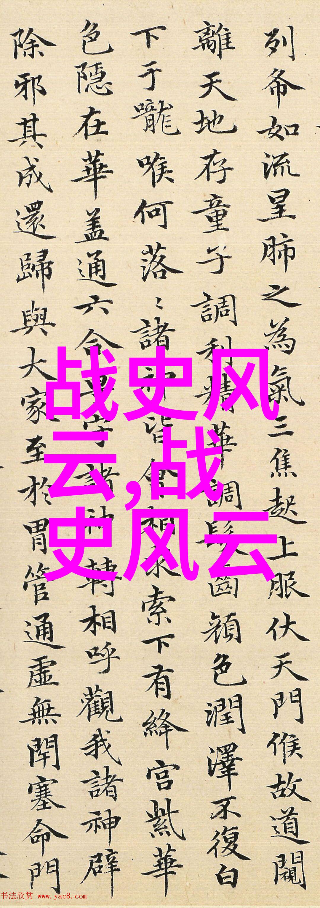 49式动作古典武术与现代特技的完美结合