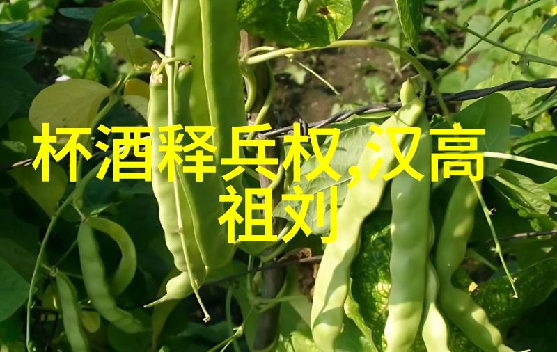 探秘历史背后的有趣往事野史趣闻深度解析