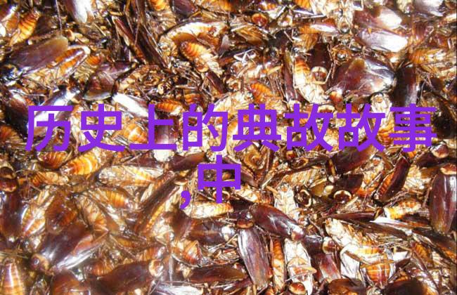最奢华的洗澡慈禧太后宫廷沐浴程序