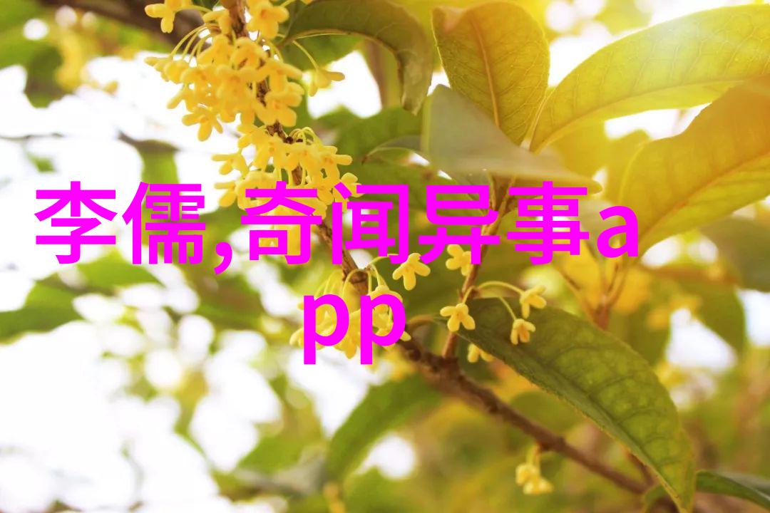 历史奇闻轶事时空的裂缝一段被遗忘的爱情传奇