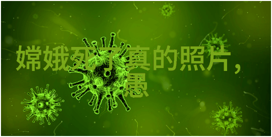体现中国优秀传统文化的故事-龙舞凤翔揭秘中华五千年的文化神话