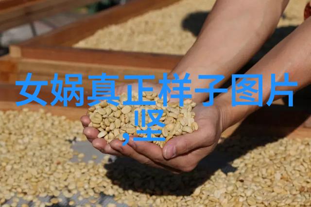 在探索一夫多妻制时我们应该考虑到哪些伦理和法律问题