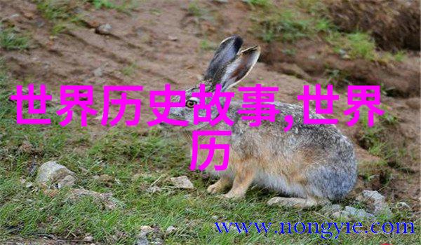 关于中国历史小故事 - 明朝的三大奇才朱元璋徐达与马超