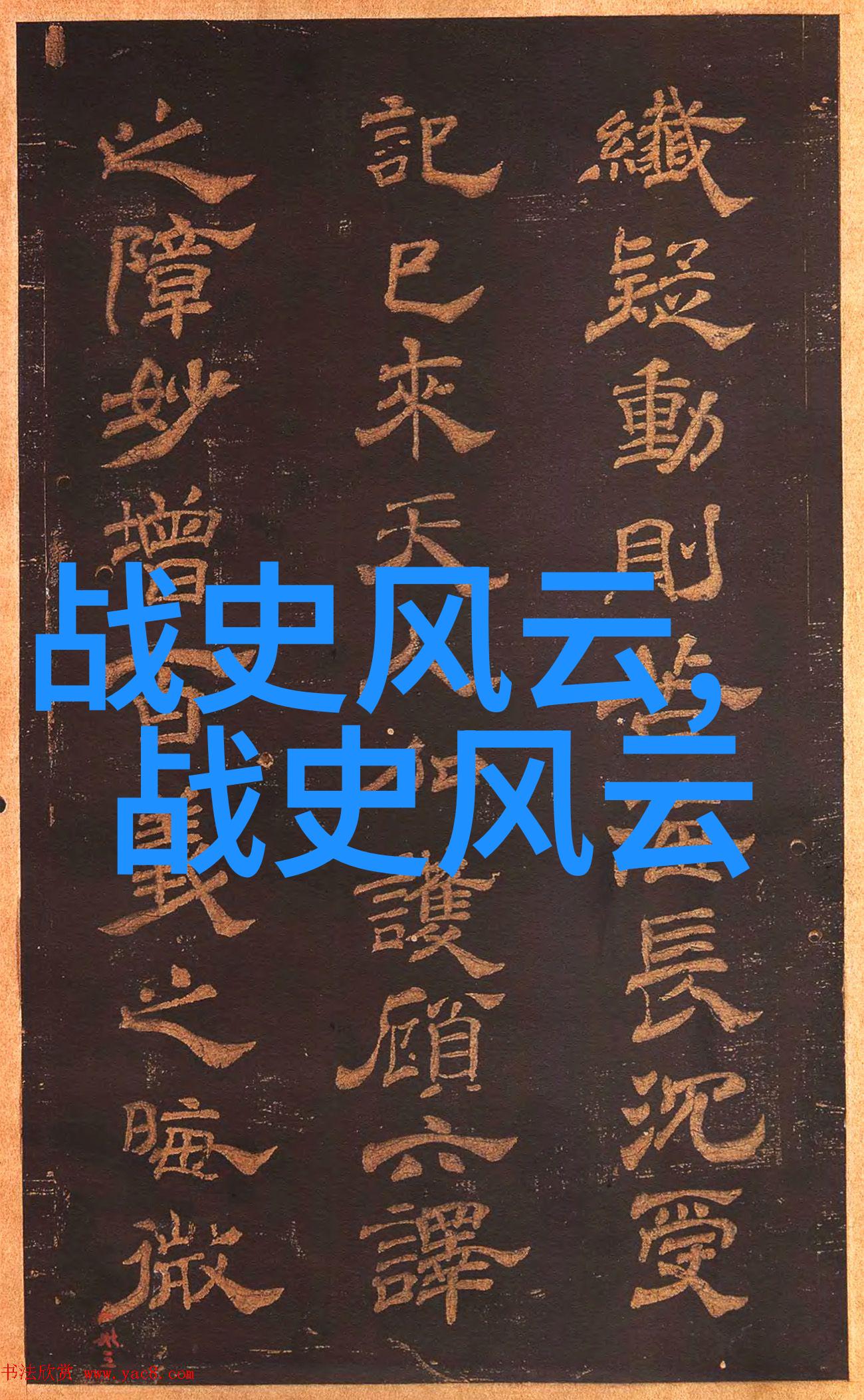 49式动作失落的密令