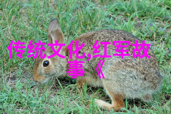 京剧花鼓葛兰的艺术征途