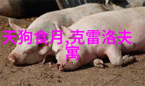家中无人时的秘密影视之旅