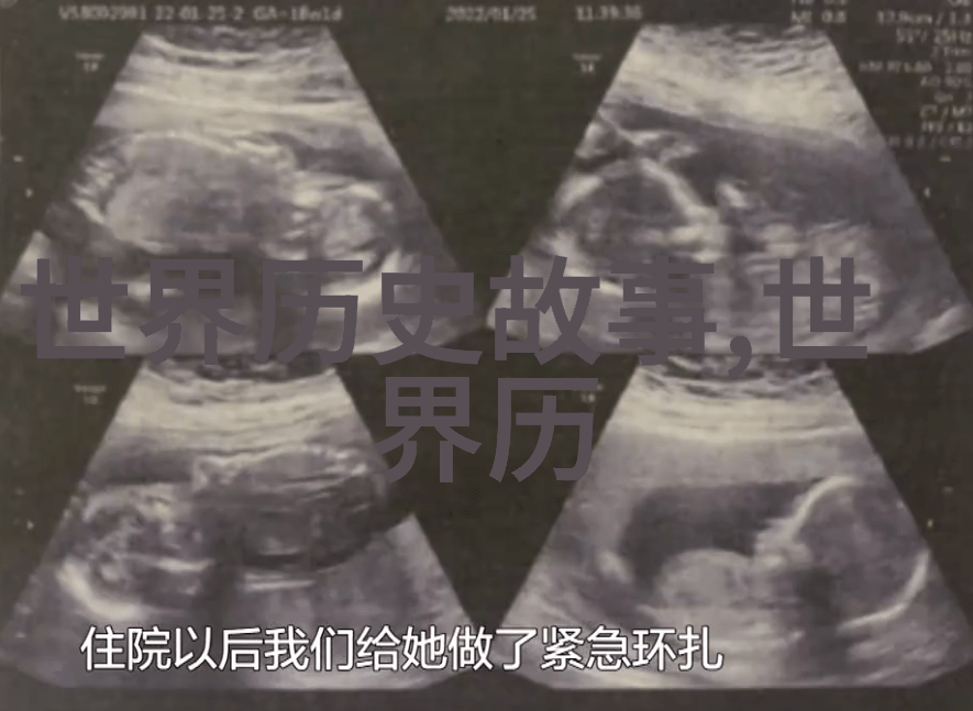 历史上的争议之谜隐秘的皇帝与时光的女儿