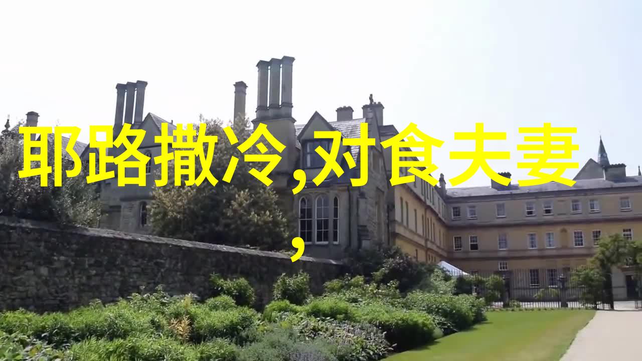 光绪之前是谁当的皇位的马进忠探秘社会历史