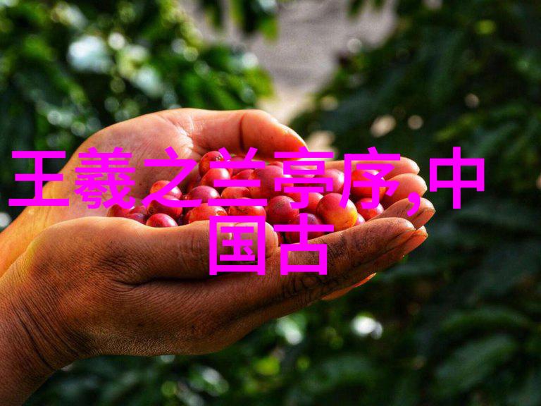 罗马帝国的辉煌与衰落战史风云的典范