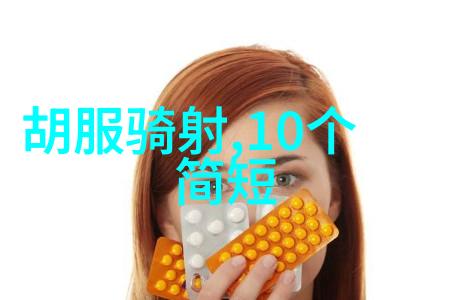 燕王朱棣明成祖朱棣的皇后揭秘明朝那些事儿PDF电子书中的社会传奇