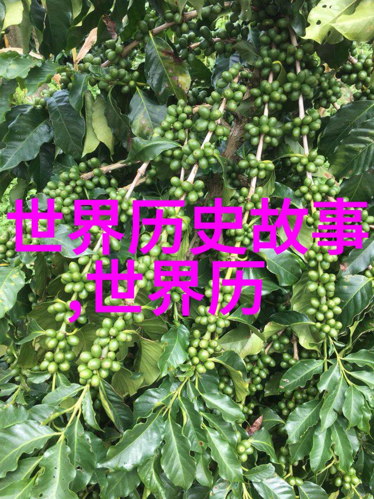 中国历史故事-龙城秋月唐朝边塞将士的忠诚