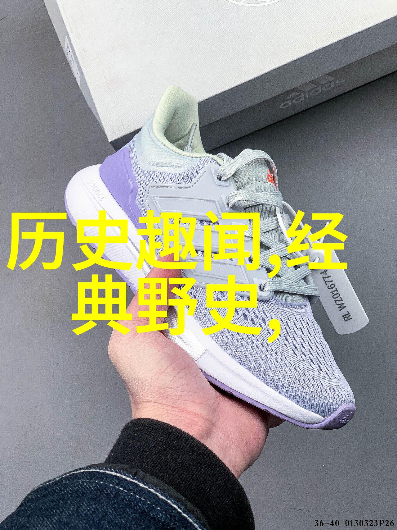 明朝英杰武功赫赫的朱棣智谋过人的大内总管及文治武功并重的宦官王振