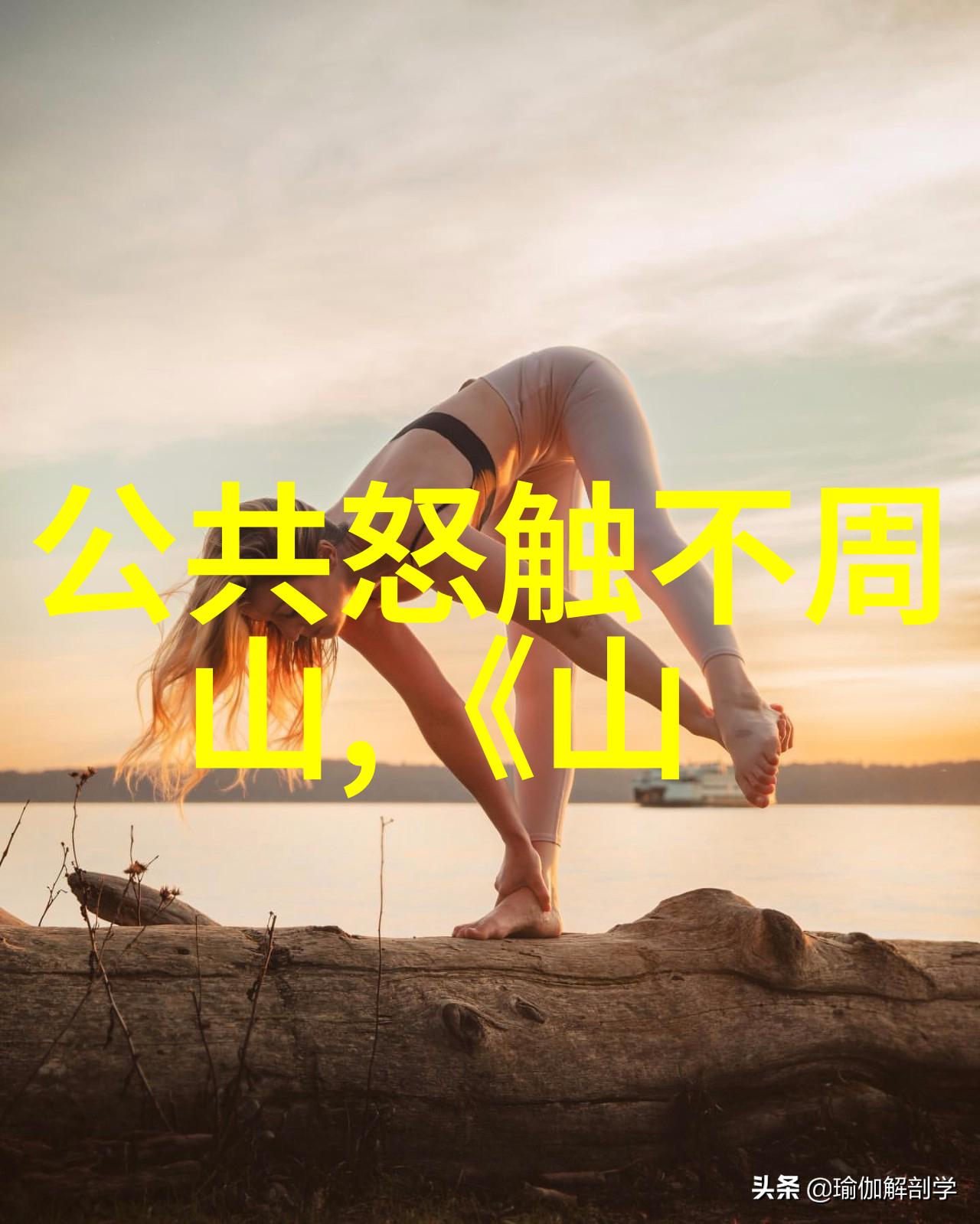 王冠亚黄梅戏剧作者张辉的人物塑造