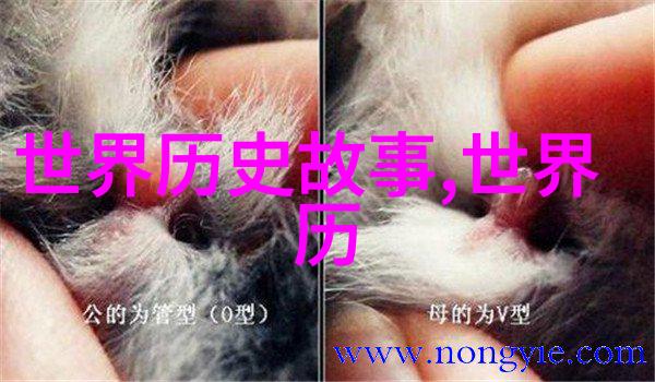 唐宋元明清后面是什么朝代咱们来看看历史上的这段时间有什么大事发生吧