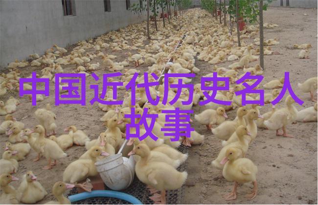 东方神话民间传说中的奇迹与传奇
