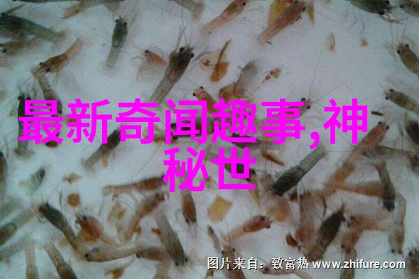 147VT最大胆人文艺术 - 挑战边界探索147VT在人文艺术中的创新之旅