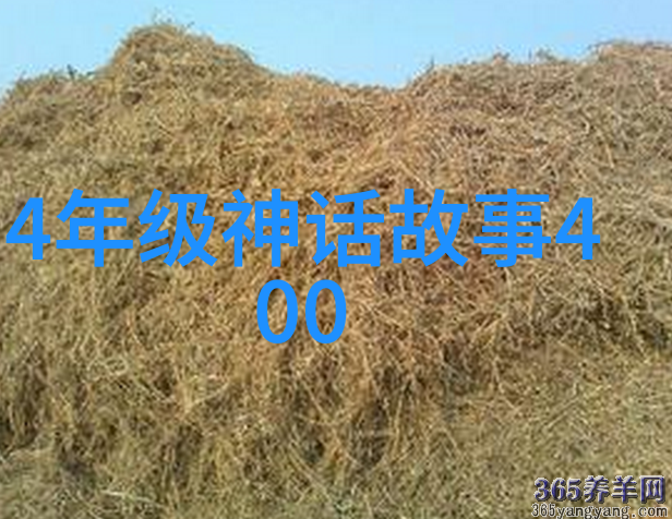 篮球梦工厂里的传奇人选姚明和他的跨国征程