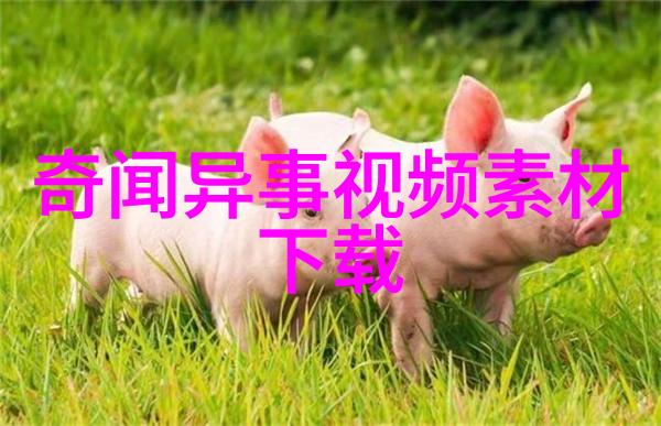 火焰山上的征途烈焰巨兽的挑战