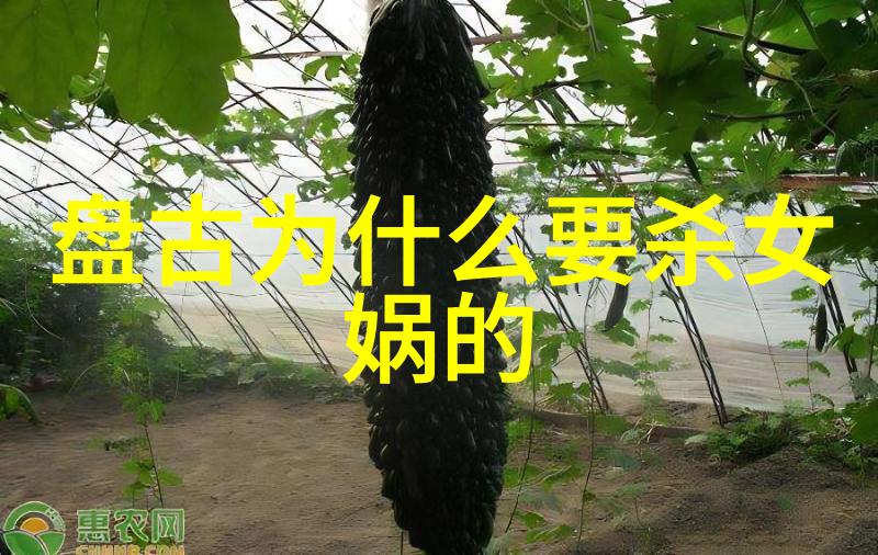 乌拉那拉氏断发之谜揭开历史上的一个沉默秘密