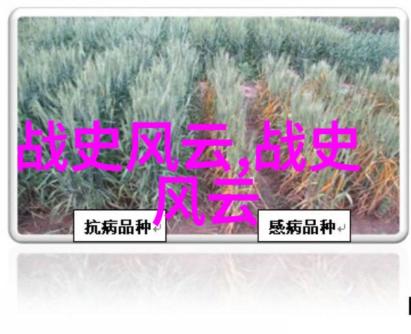 唐朝奇缘探秘中国经典传统文化故事中的神话与传奇