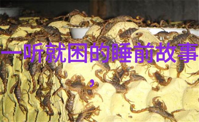 穿越时空的见证者世界历史故事中的巨轮与微尘