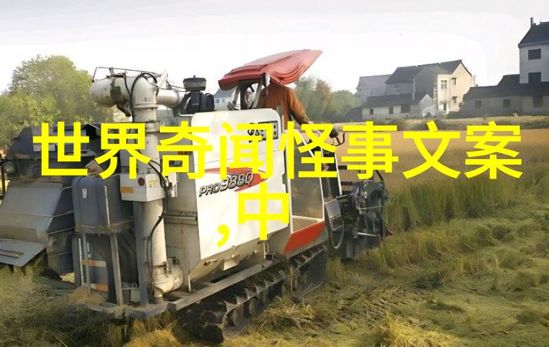 风暴来袭雷鸟带来的希望