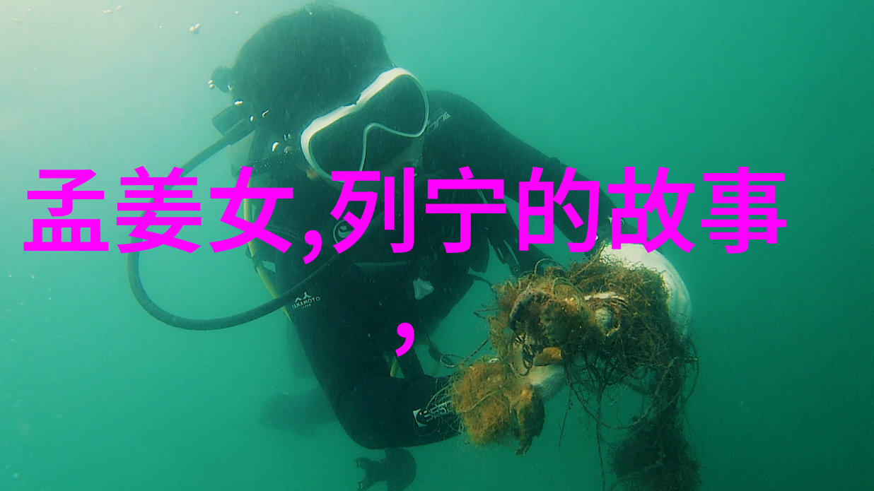 元朝末年的分裂与动荡忽必烈的大汗梦碎沙场