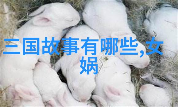 倩影绘韵唐代书画女侠的传说