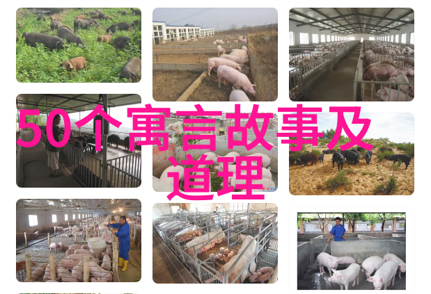 历史的足迹解读一代伟人