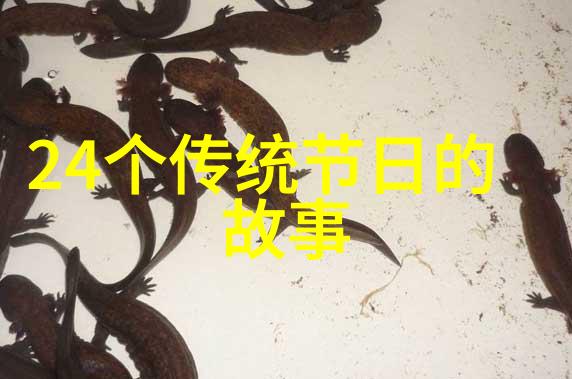 中华古老的传说与历史真相探索封建社会的阴暗面