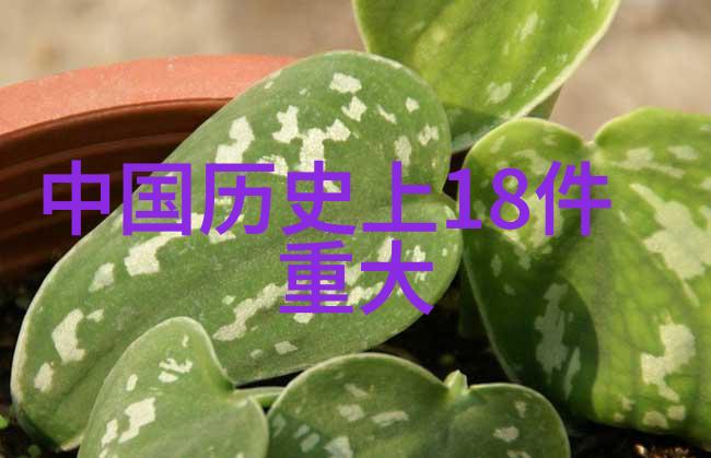 苏坦妹探索三皇五帝时期名人与自然的奇遇