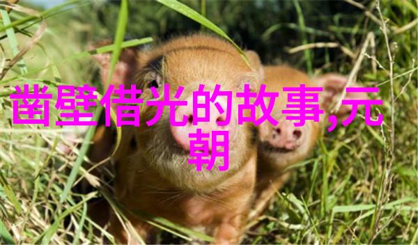 2. 什么人被认为是第一位成功穿越南北极圈的人类探险家又有哪些艰难困苦他们必须经历