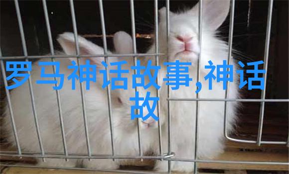 乌拉那拉氏断发之谜背后的原因与社会影响