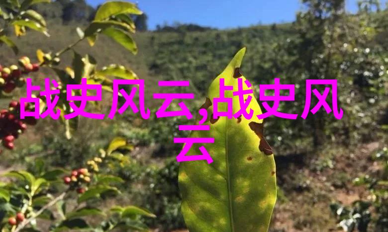 明朝那些事儿笔趣阁里的历史奇遇