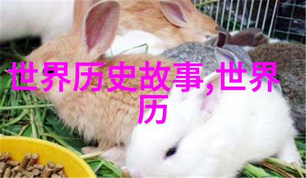 聊斋志异揭秘古代幽冥世界