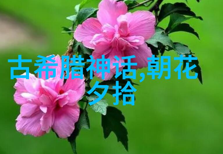 蒙恬与魏美人历史人物简介中的物品故事约公元前4世纪公元前3世纪