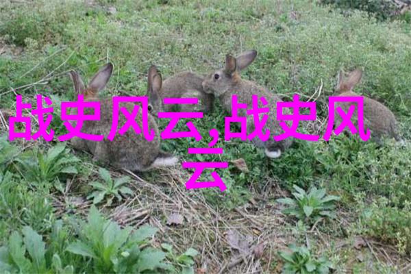 怎样将学习古文与背诵二十四朝代顺口溜结合起来