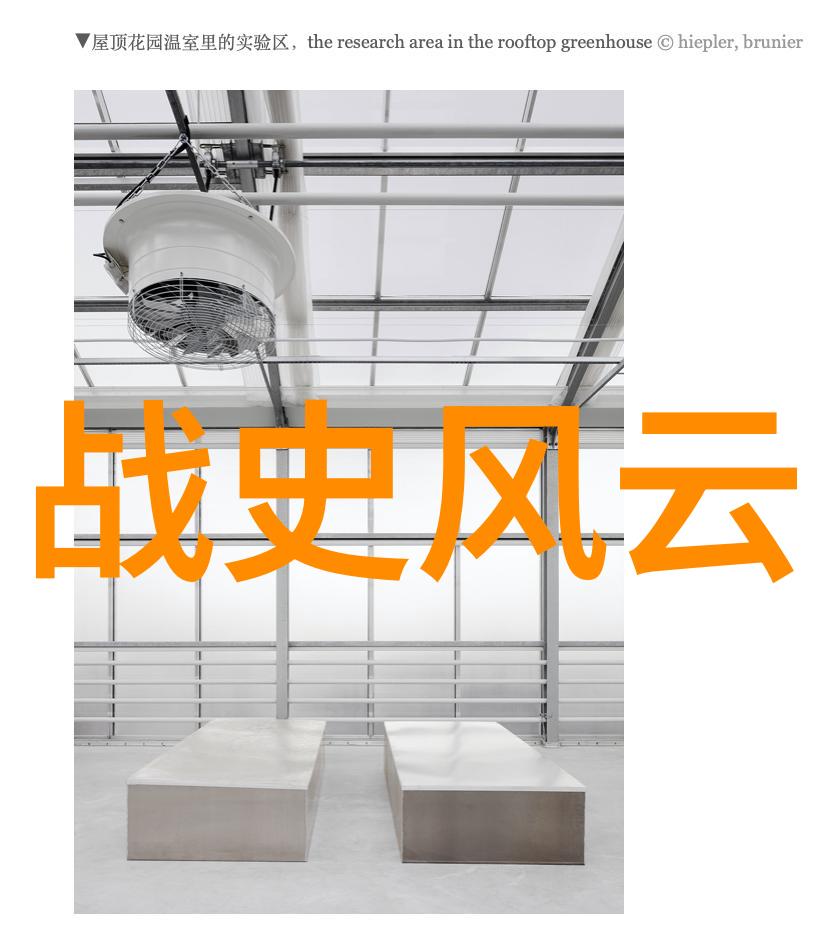 战无不胜生死看淡特工部队的秘密行动