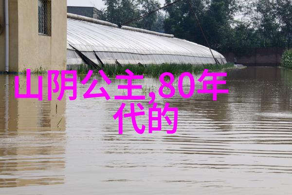 大汉风云梁式八卦掌与吴氏太极拳的王者之争张全亮的征途