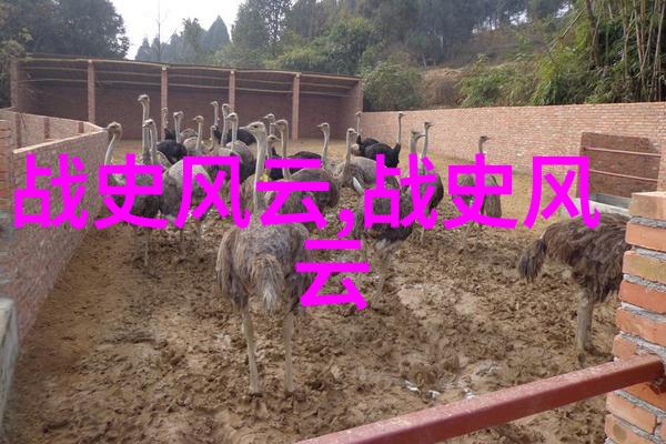 世界趣事奇闻录探秘地球上的神奇事件与古怪传说