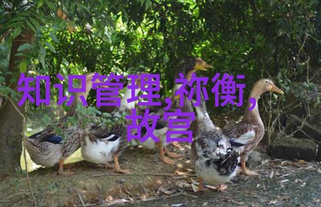 历史上的奇才尼古拉特斯拉的发明神话电力革命的先锋