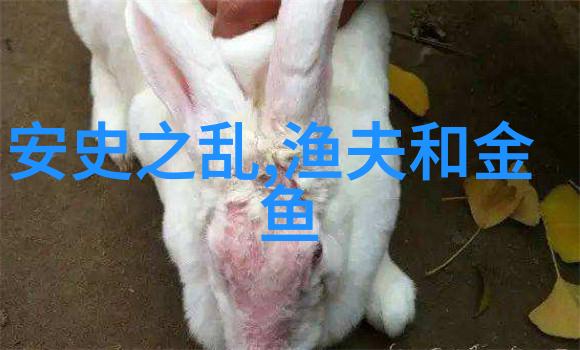 清朝灭亡的咫尺公主与格格的荣耀差距
