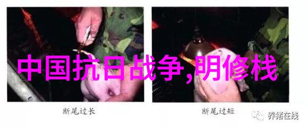 古老森林里的秘密花园一个简短的神话旅程