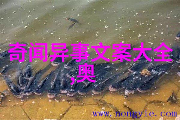 免费民间故事文案素材咱们一起听完这段老故事吧从山野传说到现代应用