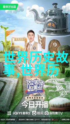 驾驶敌人的飞机