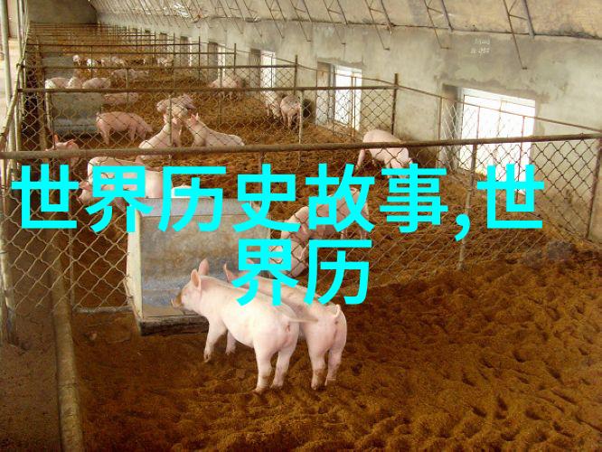 在时间河流中漂浮的飞行器那些未解之谜